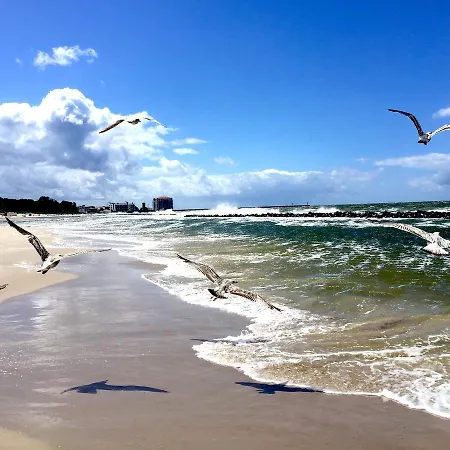 Lejlighed Komandorski