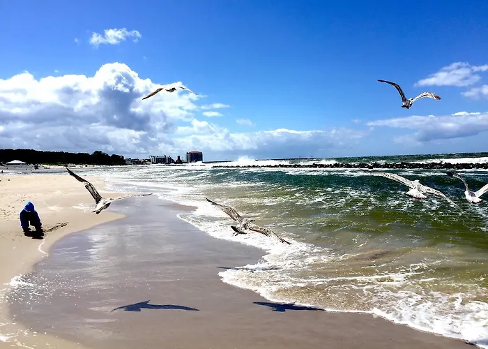 Lejlighed Komandorski